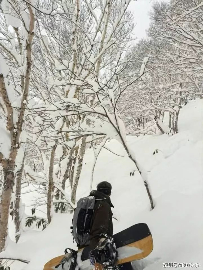 谢霆锋带大儿子滑雪，父子互拍对方帅照