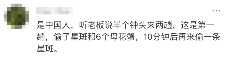 悉尼华人区惊现“神偷”!华人大妈多次“0元购”(图)