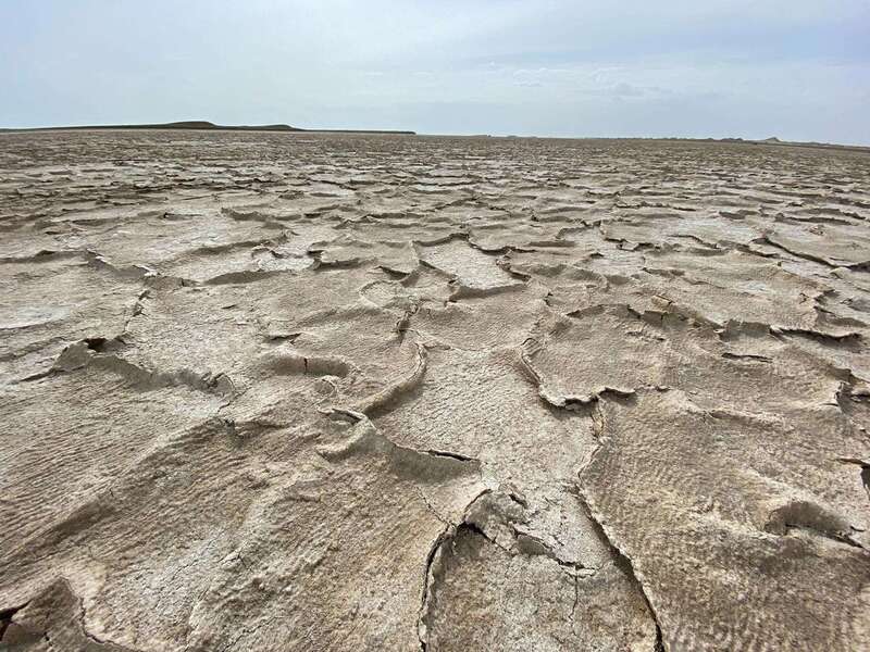 中国沙漠治理 美环保专家竟称沙漠植树弊大于利(图)