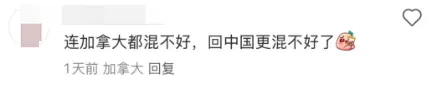 "加拿大护照不香了"!仅十年堕落成第5大失败国!华人移民退籍跑路!千人吵翻!